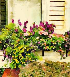 Windowbox, Newburyport