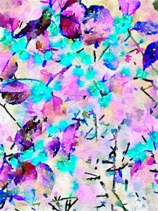 Study in Pinks and Purples